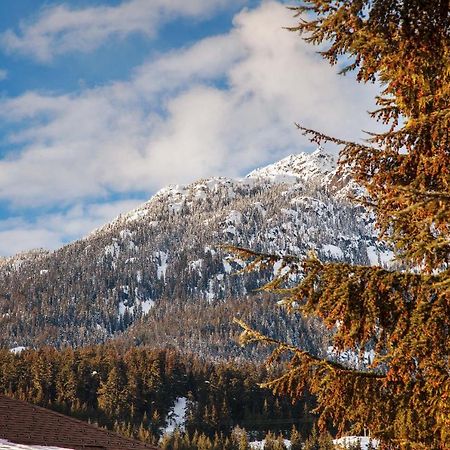 Updated Whistler Creek Studio With Parking Eksteriør bilde